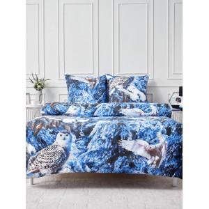 Постельное белье Полярная ночь 1,5 спальный, бязь, рис 1924/1